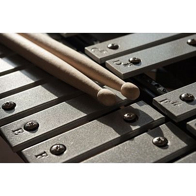 AP Percussion TL32CJ